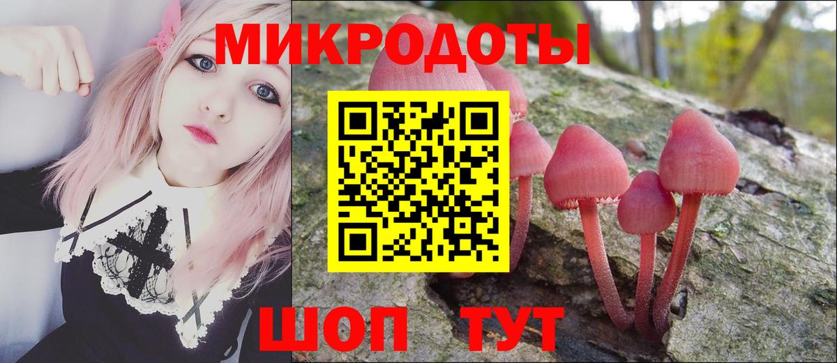 Славянск-на-Кубани  Галлюциногенные грибы Psilocybine cubensis  Вход с VPN 
